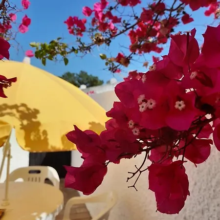 Planalto - Golfe - Entre O Golfe E O Mar 펜션 빌라모라