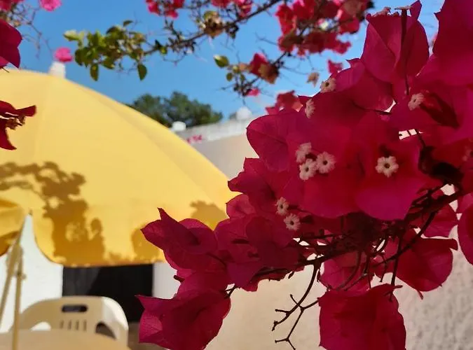 Planalto - Golfe - Entre O Golfe E O Mar Tatil Evi Vilamoura