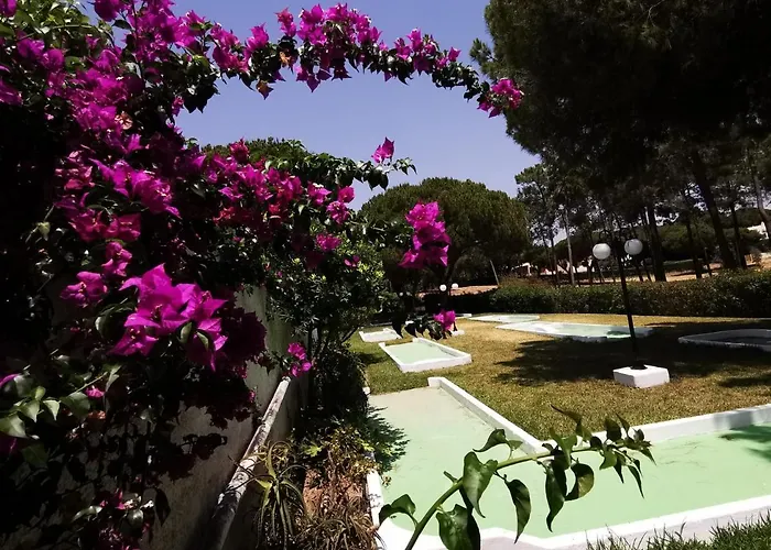 Planalto - Golfe - Entre O Golfe E O Mar *