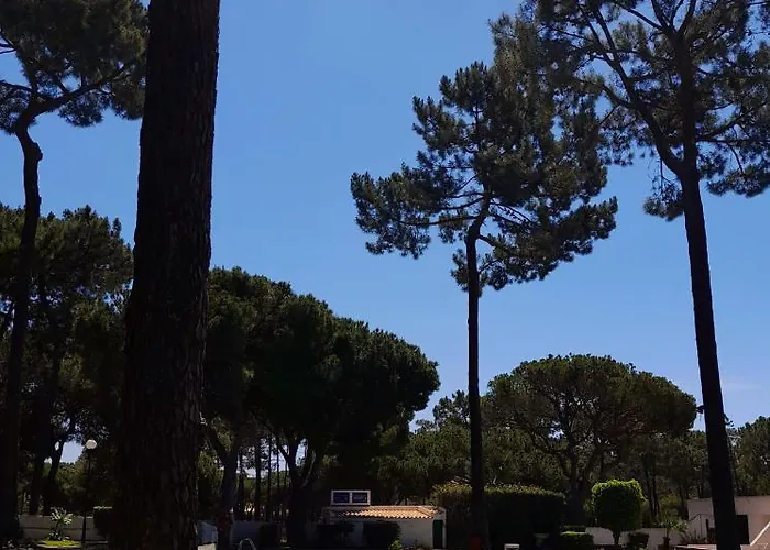 Planalto - Golfe - Entre O Golfe E O Mar * Vilamoura